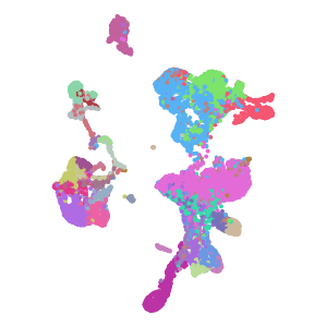 author_cell_type plot preview