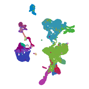 cell_type plot preview