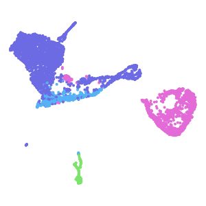 author_cell_type plot preview