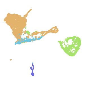 cell_type plot preview