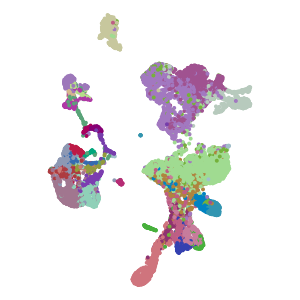 author_cell_type plot preview