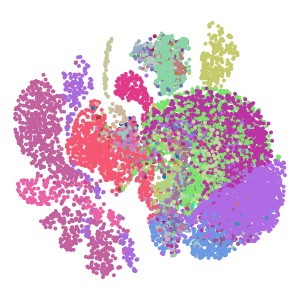 celltype plot preview
