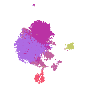 cell_type plot preview