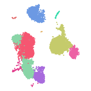 cell_type plot preview