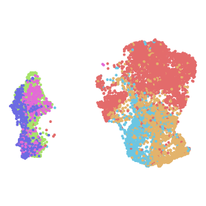 cell_type plot preview