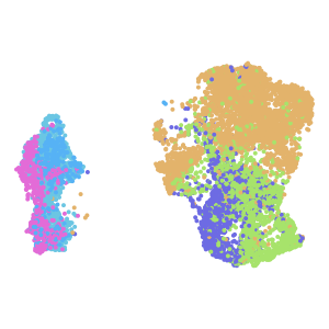 cell_type plot preview