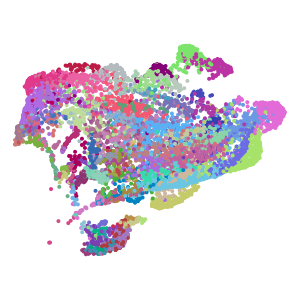 cluster plot preview