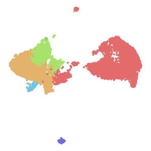 author_cell_type plot preview