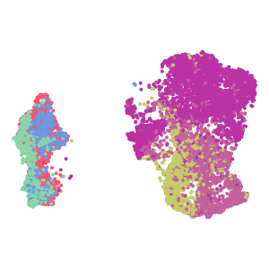 cell_type custom plot preview