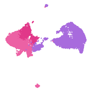 cell_type plot preview